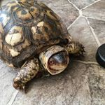 rick sinclair - @rick_sinclair711 - Instagram