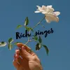 🎤🎼🎸 - @rich_singer - TikTok