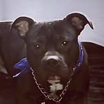 Richie Stackin - @richstackxx - Instagram