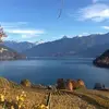 Erich Stauffer - @erich.stauffer - TikTok