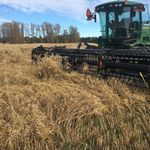 Rick Stauffer - @stauffer9393 - Instagram