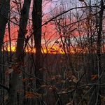 Rick Stauffer - @rickystauf - Instagram