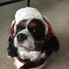 Tracy Richmond Stefanowicz - @tracystef - TikTok