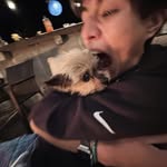 Richard Steiner - @richard.ste14 - Instagram