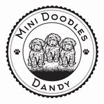 Rick And Dawn Steiner - @minidoodlesdandy - Instagram