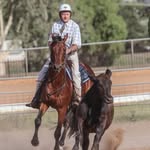 @richstock_stockhorses - Instagram