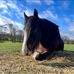 Richard Stow - Facebook