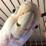 Rich Stuart - @stuart8448 - Instagram
