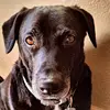 Rick Taft - @rick.taft - TikTok