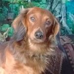 Richard Talbert - @talbertrichard - Instagram