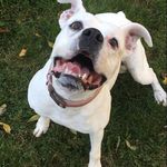 Rich Tate - @richtate1 - Instagram