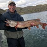 Rich Thayer - @bummpa68 - Instagram