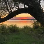 Rick Timmer - @rt.home - Instagram