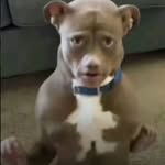 @richwaters_ - Instagram