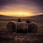 Rich Watts - @r.watts80 - Instagram