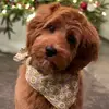 Rich Weaver - @rich.weaver8 - TikTok