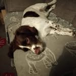 Rich Willis - @richw81978 - Instagram