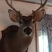 Richard Wolfe - Facebook