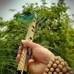 Richa Gangwar - @richagangwar81 - Instagram