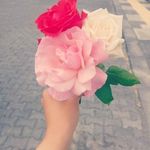 Richa Gangwar - @richa_gangwar_r - Instagram