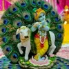 Richa ghosh - @user2906036220021 - TikTok