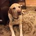 Richard Abele - Facebook