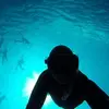 Richard Abele - @whale_wanderer - TikTok