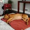 Richard Thacker - @richard.thacker7 - TikTok