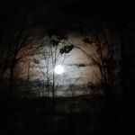 Richard - @richard.ackleyjr - Instagram