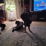 Richard Adkisson - @adkissonrichard - Instagram
