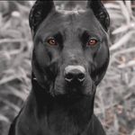 Richard B. Allbritton - @richardb.allbritton - Instagram