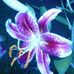 Richard Allgood - Facebook