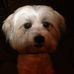 Richard Ammon - Facebook
