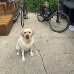 Richard Angus - @richard_angus_realty - Instagram