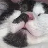 Richard Apps - @richardapps - TikTok
