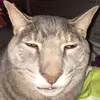 richarddarmond - @richarddarmond - TikTok