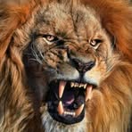 Richard Arnone - Facebook