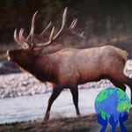 Richard Artman - @artmanrichard - Instagram