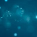 Richard's Astrology - @richard_astrology - Instagram
