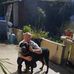 Richard Aubry - Facebook