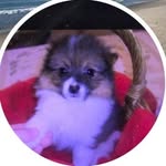 Richard Auman - @livogo1424 - Instagram