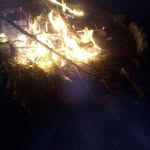 Richard Aurand - @richardaurand - Instagram