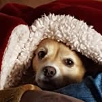 Richard Avant - @richard.avant.05 - Instagram
