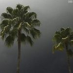 R - @richard.aversa - Instagram