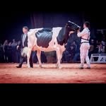 Richard Ayer - @richard.ayer - Instagram