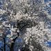 Richard Babler - Facebook