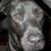Richard Balcom - Facebook