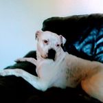 Rich rich - @richard.bannon12 - Instagram