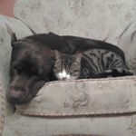 brodie richard wilson banton - @brodie_richard_wilson_banton - Instagram