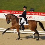 Richard Barrett - @premieredressage - Instagram
